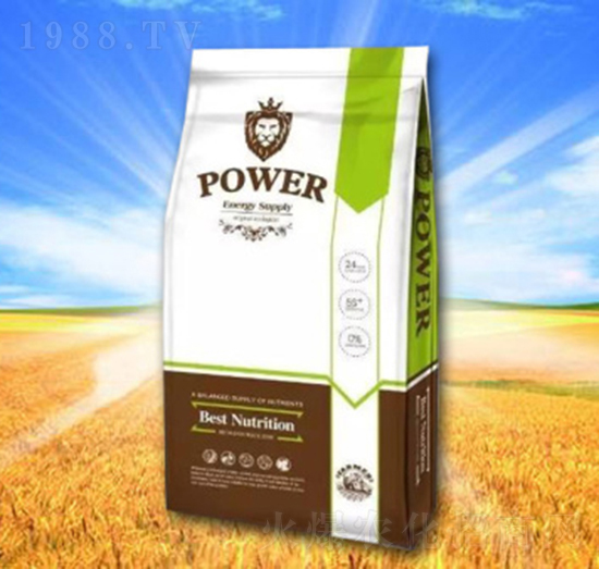 ˮ�ܷ���-POWER-�\(ch��ng)�T�r(n��ng)�I(y��)