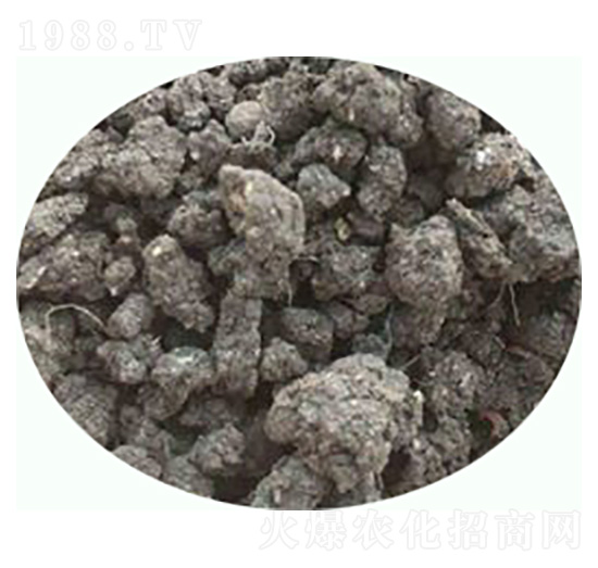 發(fā)酵雞糞有機(jī)肥料-康東肥業(yè)