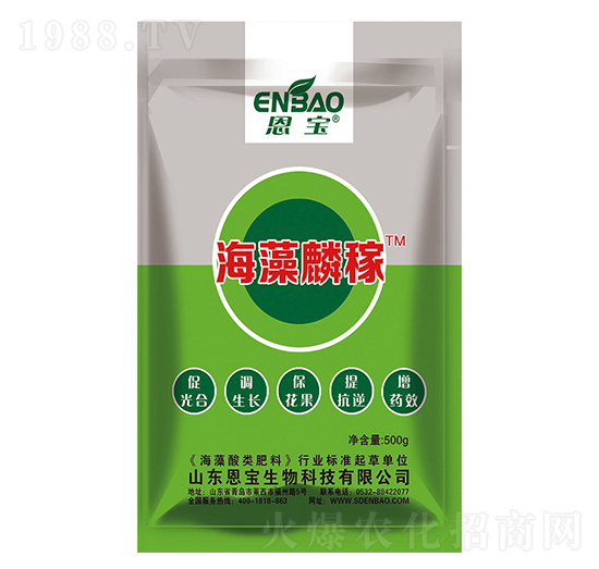 ������ڣ�500g��-����