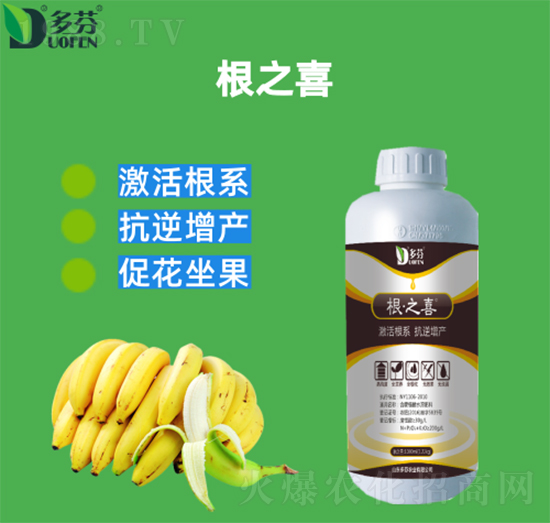 ��֮ϲ-����r(n��ng)�I(y��)