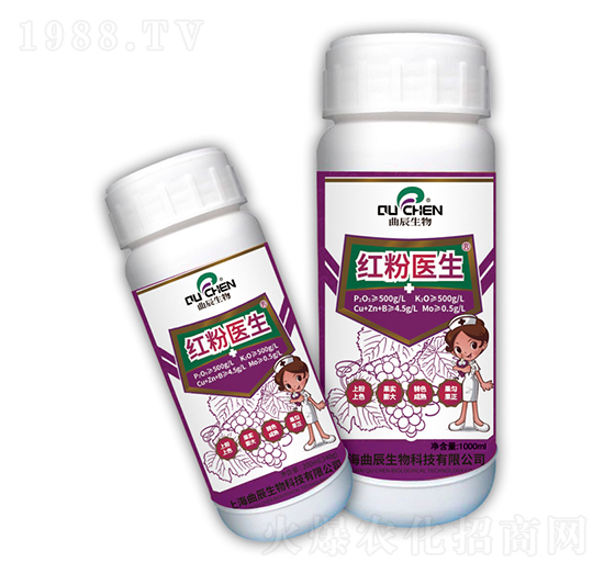 �t���t(y��)��-��������