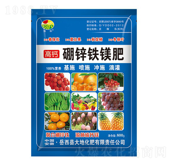 800g���\�F�V��-���-��ػ���