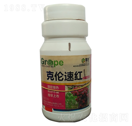 葡萄克倫速紅-豐收源