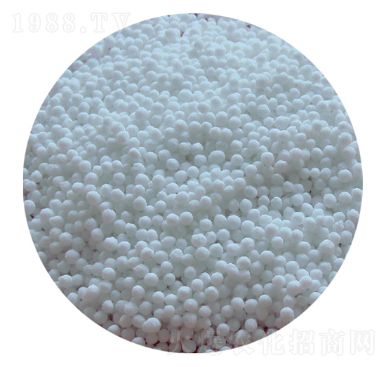 �w���𣨈A���w����-���-��ػ���