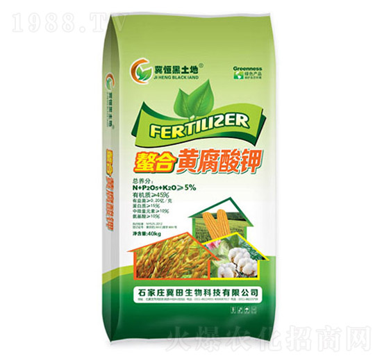 �����S�����-��������