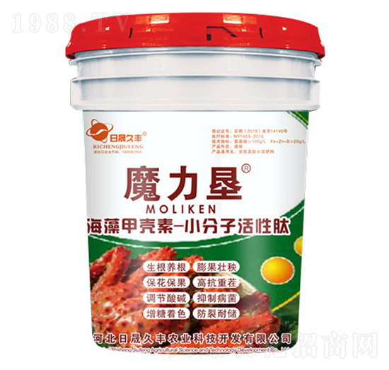 Ͱ�b���w��-ħ����-���ɾ��S