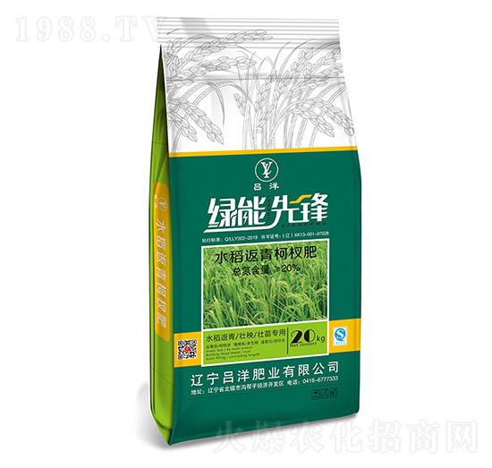 水稻返青柯叉肥-綠能先鋒-呂洋肥業(yè)
