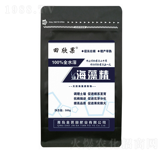 ���徫-������-�����