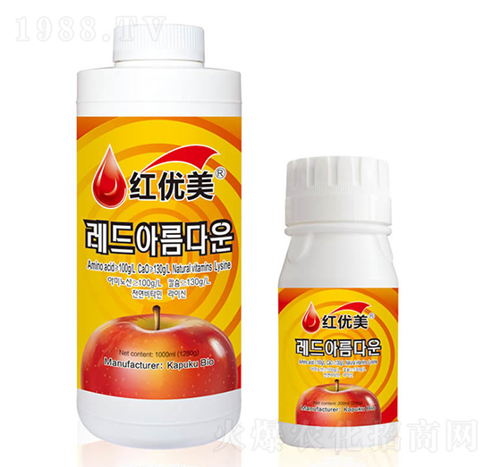 �t��(y��u)���~���-���Վ�(k��)����