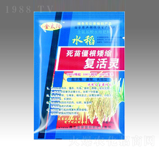 ���罩�����s�ͻ��`-�������