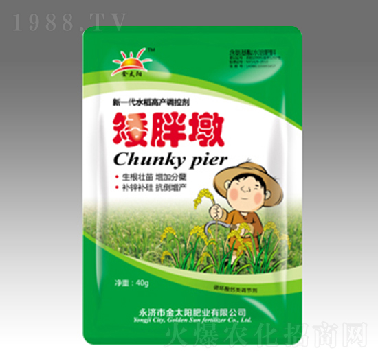 ���ֶ�-�������