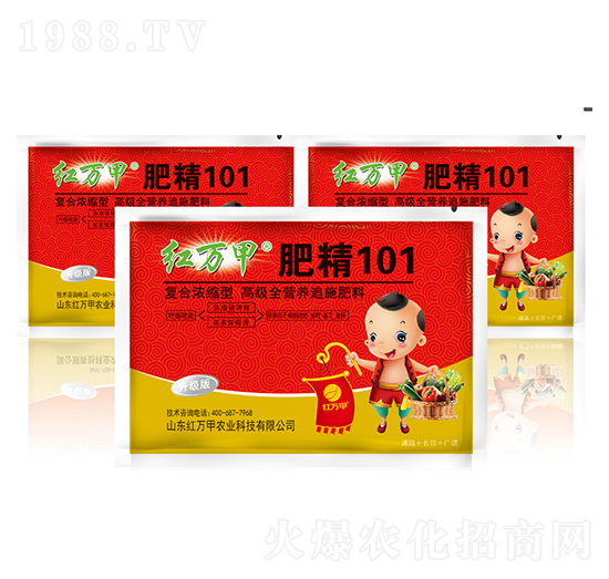 �ʾ�101-�t�f��