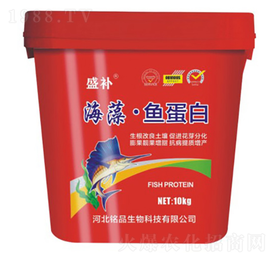 ���塤�~����-ʢ�a-�Ʒ����