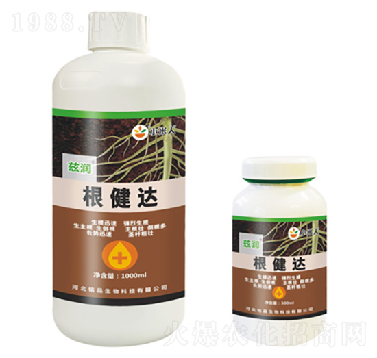 �����_(d��)-Ɲ��-�Ʒ����