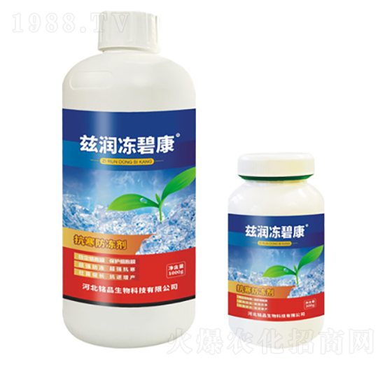 Ɲ��(r��n)���̿�-�Ʒ����