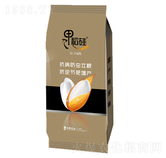 �ż׵���-�ż��r(n��ng)�I(y��)