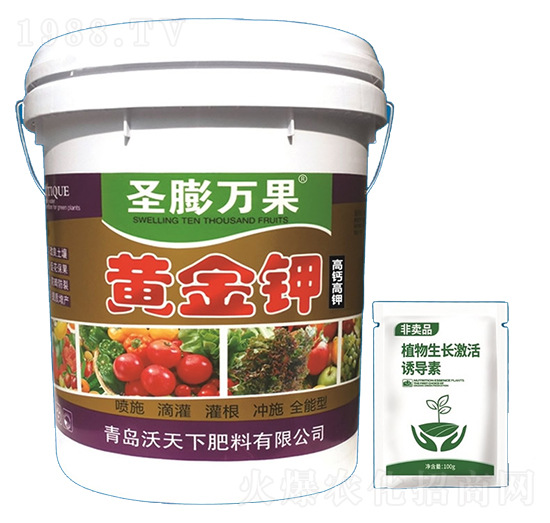 �S���-ʥ���f(w��n)��-������