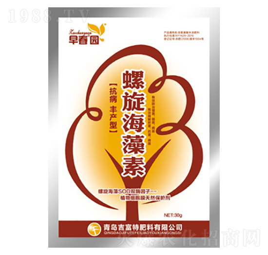 30g����������-�紺�@-������