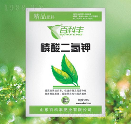 ��������-�ٿ��S