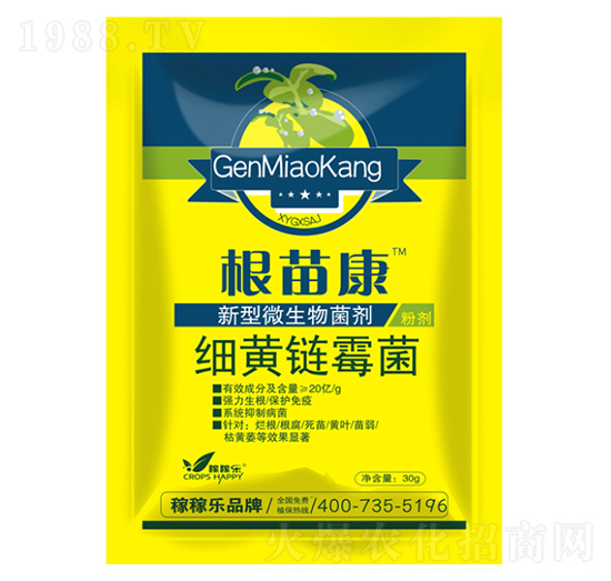 ���S�ù��-���翵-�ڼژ�