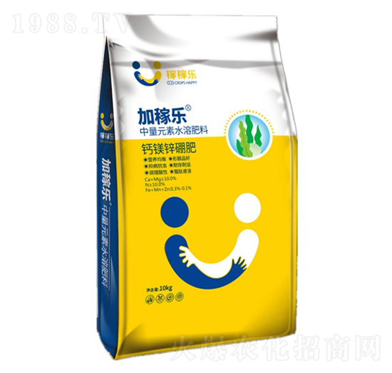 �}�V���\��-�ڼژ�(l��)