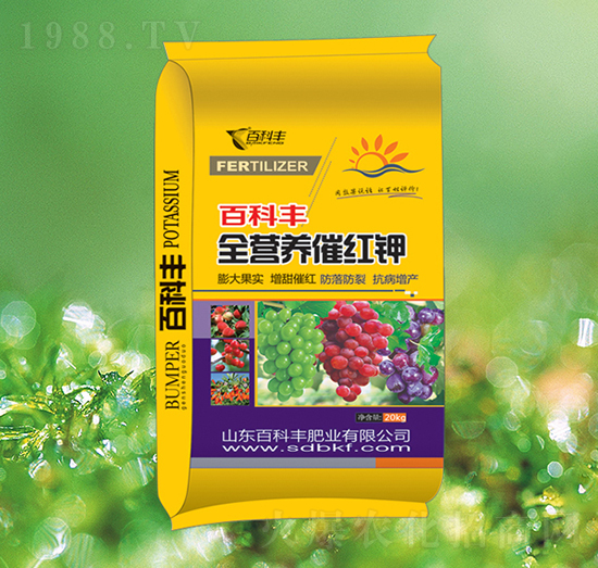 ȫ�I(y��ng)�B(y��ng)�߼t�-�ٿ��S