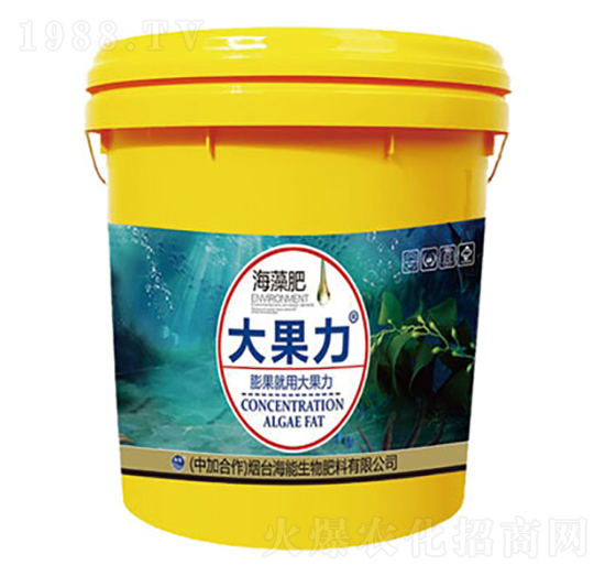 海藻肥-大果力-海能