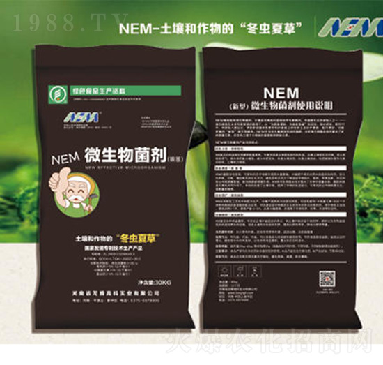 30����NEM΢�������-���v�߿�