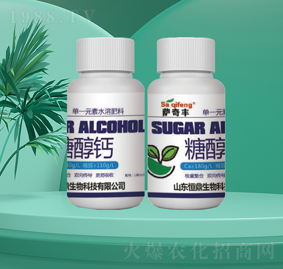 �Ǵ��}-�㶦����