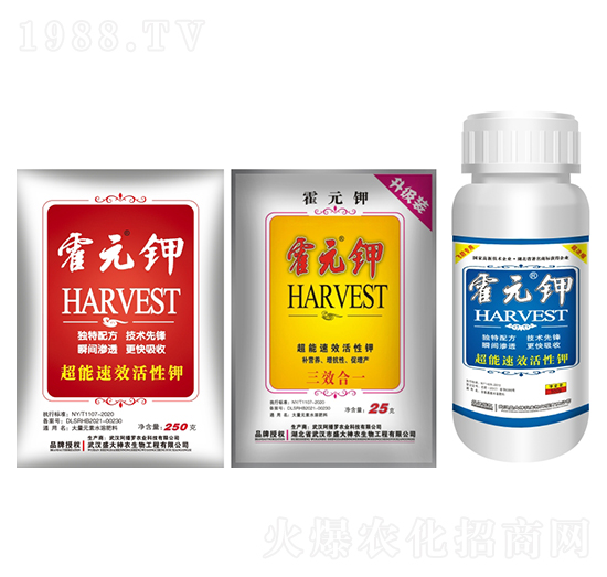 ��Ԫ�-ʢ������