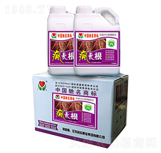 ���L��-�Č�(sh��)�ʘI(y��)