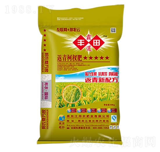 返青柯杈肥-豐田霸道-邦農(nóng)肥業(yè)