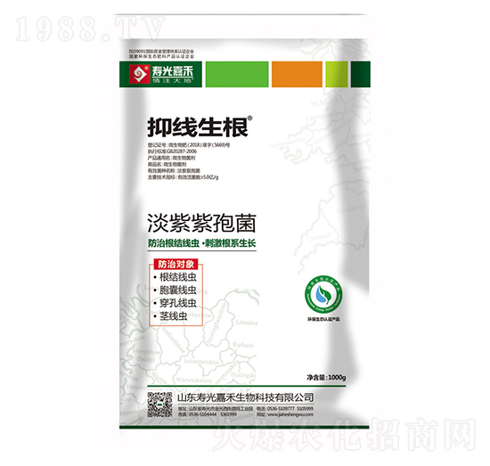 �������߾�-�־�����-�۹�κ�