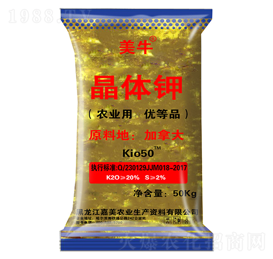 ���w�-��ţ-����