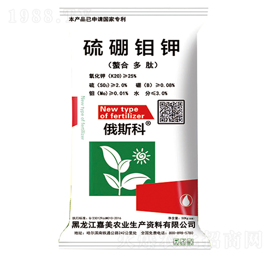 �����f�-��˹��-����