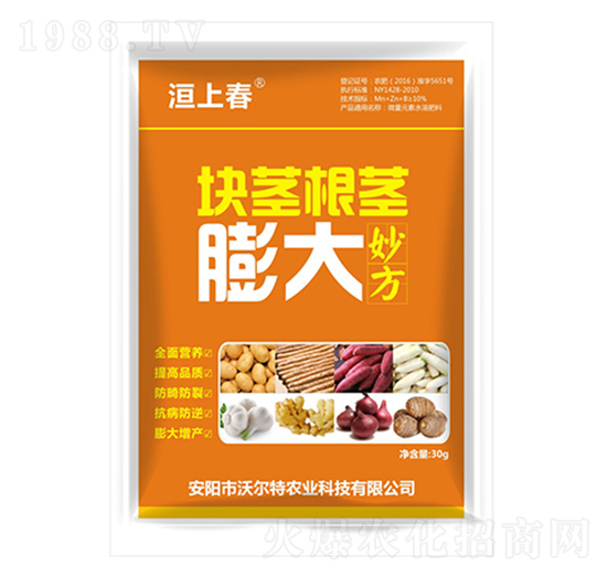 塊莖根莖膨大-沃爾特