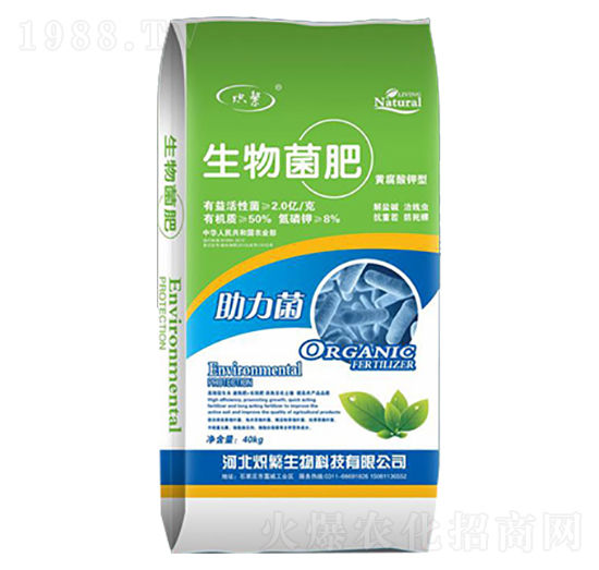 �������-�뷱����