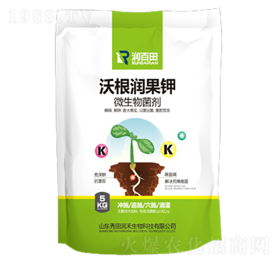 �ָ������-�����