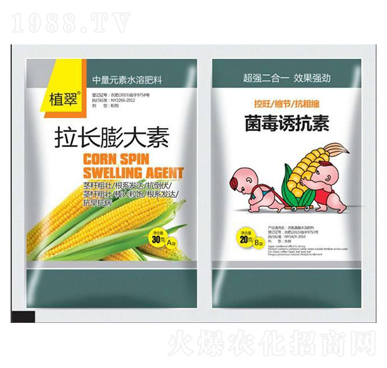 ���L�����-�����S