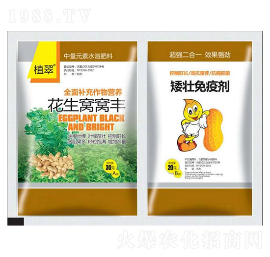 �����C�C�S-�����S