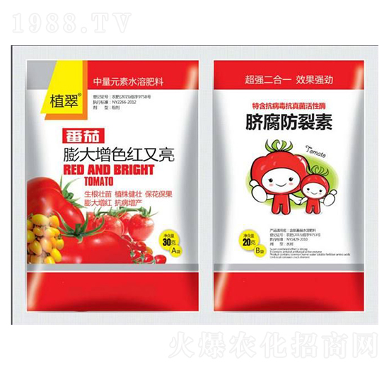 ���������ɫ�t����-�����S