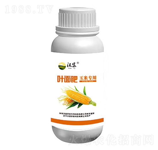 ���׌�(zhu��n)���~���-�h���r(n��ng)�I(y��)