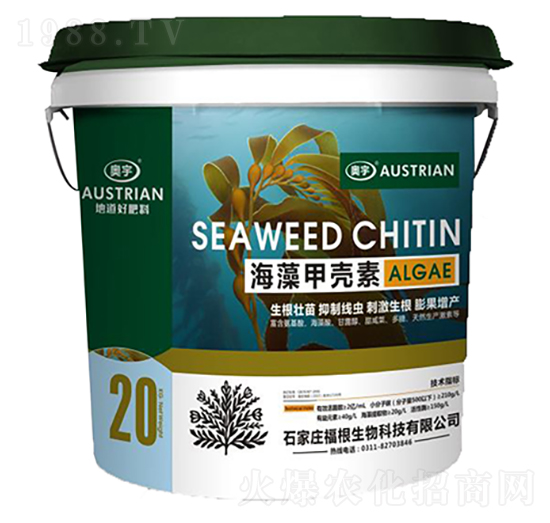 ����ך���-�W��-��������