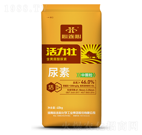 ����������-���B��