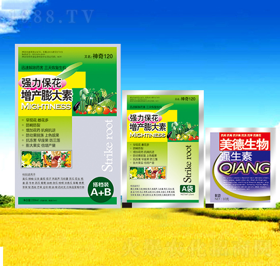 �������a(ch��n)�����-��������