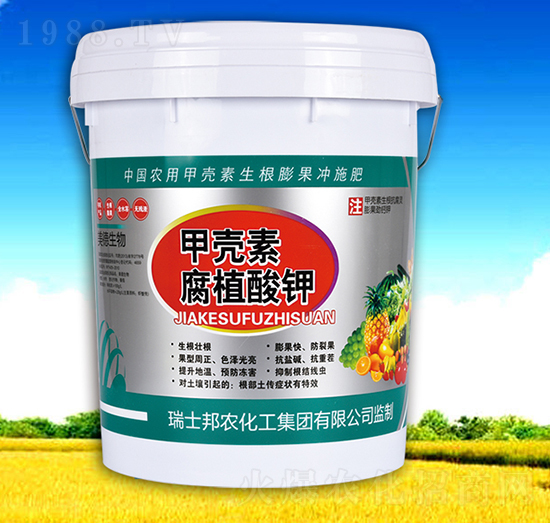 �ך��ظ�ֲ���-��������