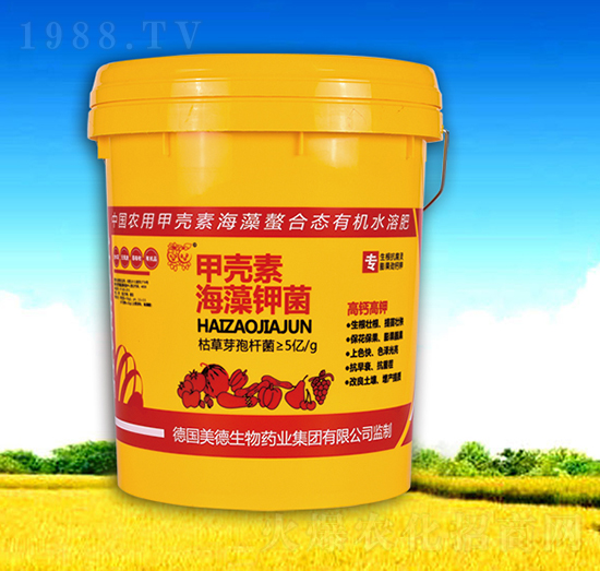 �ך��غ���⛾�-��������