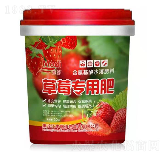 ��ݮ���÷�-ħ��-�з�