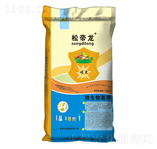 ��̿΢�������-�ɵ���-�����