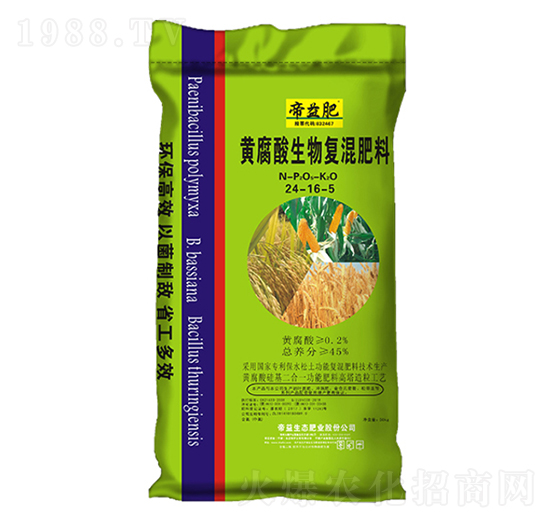 �S��������ͻ����24-16-5-�����